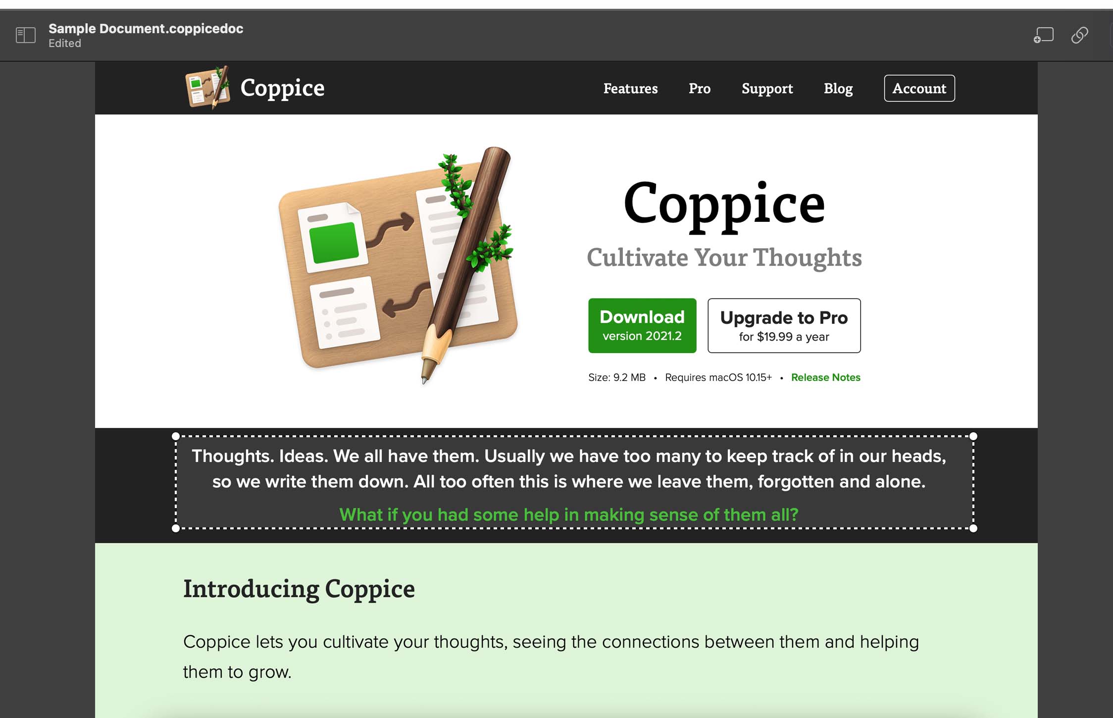 Screenshot of the Coppice website inside Coppice as a page. A rectangle is highlighted and surrounded by dotted lines with resize handles at the corners